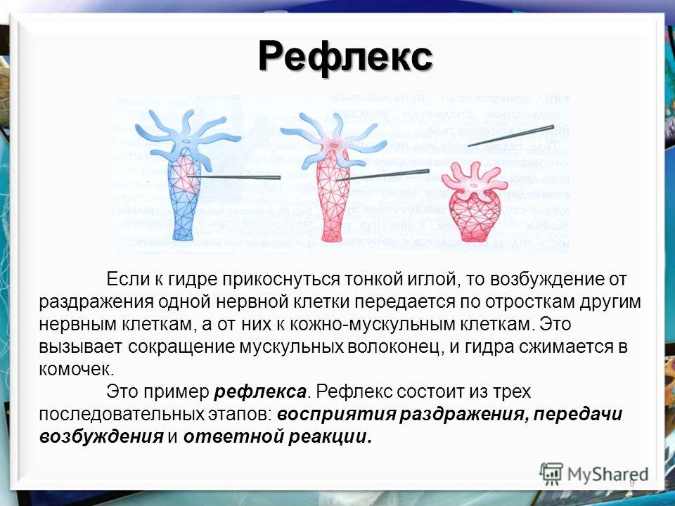 Кракен маркет плейс